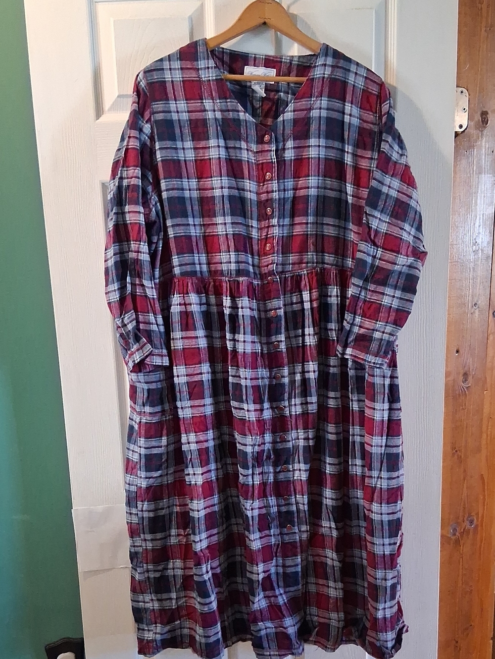 Woman Within Red and Blue Plaid Button-Front Dress